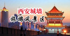 骚货叫出来视频网站中国陕西-西安城墙旅游风景区