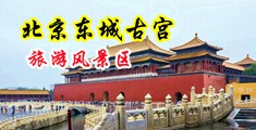 大鸡吧操小处女的B黄色视频中国北京-东城古宫旅游风景区