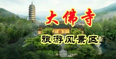 农村色网站肏屄中国浙江-新昌大佛寺旅游风景区